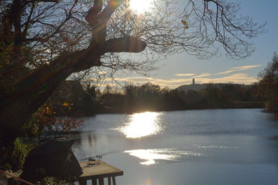 DSC_6502.JPG